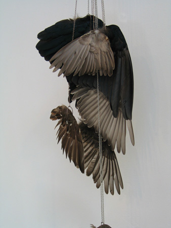 Bird: remains, 2003