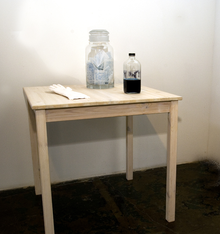 Installation view of Emily Dickinson themed works, 2006