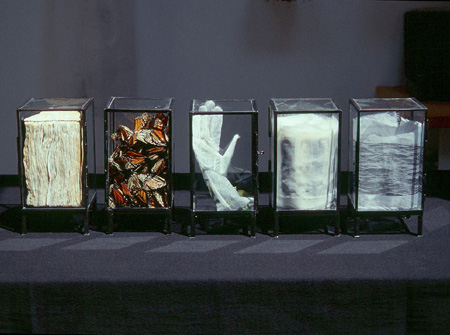 Vitrines of Memory, 2000