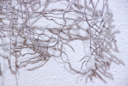 Invisible Cities, 2001 (detail)